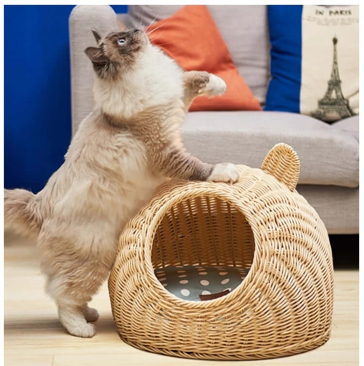 Rattan Cat Nest