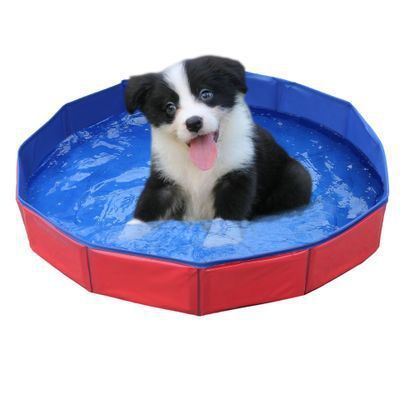 Pet Wading Pool Folding Bath Tub