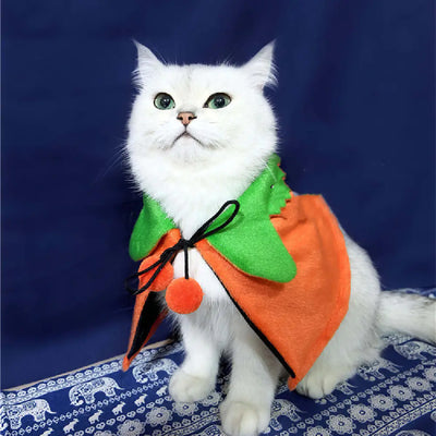 White cat wearing Halloween Pumpkin Double-Sided Cape in orange with green collar and black tie against blue background