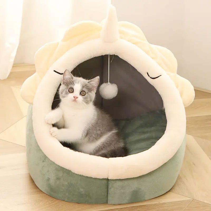 Adorable pet dinosaur house is exactly what your pet needs, comfortable and fun.  This pet home comes with a toy that will keep your pet active for hours.

Features:Adorable Dinosaur Pet House with ToyBeds & BlanketsYellow PandoraDean's Pet Outlet Adorable Dinosaur Pet House