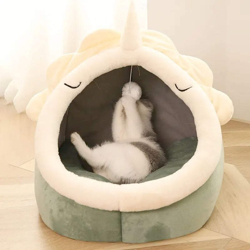 Adorable pet dinosaur house is exactly what your pet needs, comfortable and fun.  This pet home comes with a toy that will keep your pet active for hours.

Features:Adorable Dinosaur Pet House with ToyBeds & BlanketsYellow PandoraDean's Pet Outlet Adorable Dinosaur Pet House