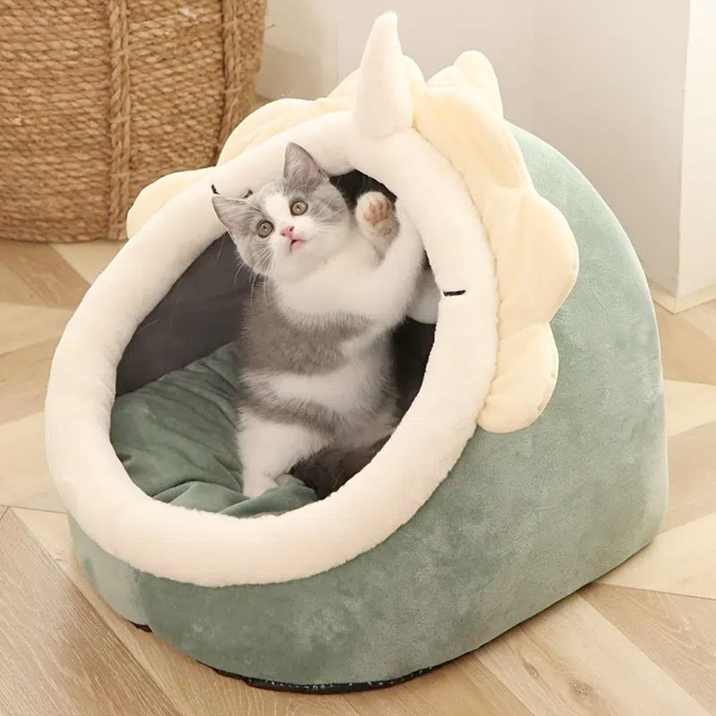 Adorable pet dinosaur house is exactly what your pet needs, comfortable and fun.  This pet home comes with a toy that will keep your pet active for hours.

Features:Adorable Dinosaur Pet House with ToyBeds & BlanketsYellow PandoraDean's Pet Outlet Adorable Dinosaur Pet House