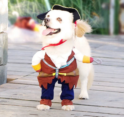 Small dog wearing a pirate dog costume with hat and hook accessory outdoors