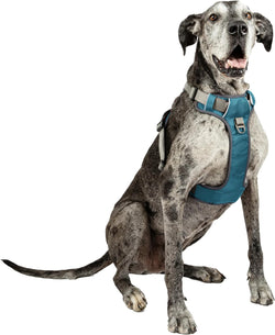 Embark Adventure XL Dog Harness No-Pull Dog Harnesses for Extra Large, Medium and Small Dogs. 2 Leash Clips, Front & Back with Control Handle, Adjustable Blue Dog Vest, Soft & Padded for Comfort