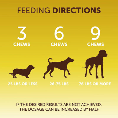 Scoot Stopper Soft Chews   Fiber for Dogs   Dog Anal Gland and Digestion Support