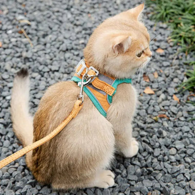 Cat Harness and Leash Set – Escape Proof, Adjustable & Comfortable