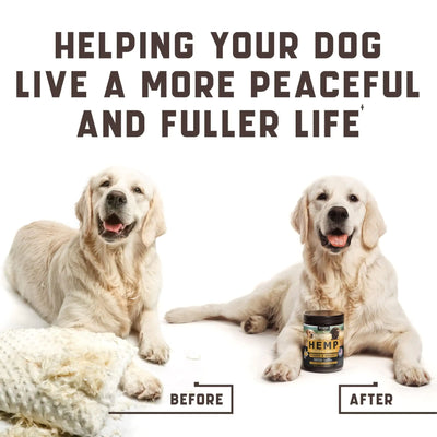Golden retriever before and after using natural calming chews with hemp oil and valerian root for dogs