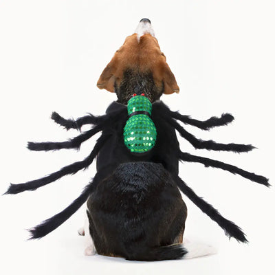 Dog wearing a green pet sequined spider costume with felt fabric and black legs for Halloween