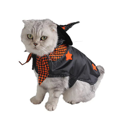 Cat wearing Halloween witch pet costume with cloak and hat