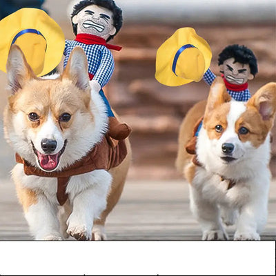 Two dogs wearing funny lion costumes with cowboy doll accessories running outdoors