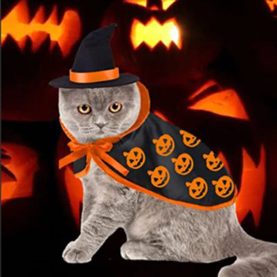 Gray cat wearing Cross-border Amazon Halloween pet cloak with pumpkin prints and a witch hat against jack-o'-lantern background