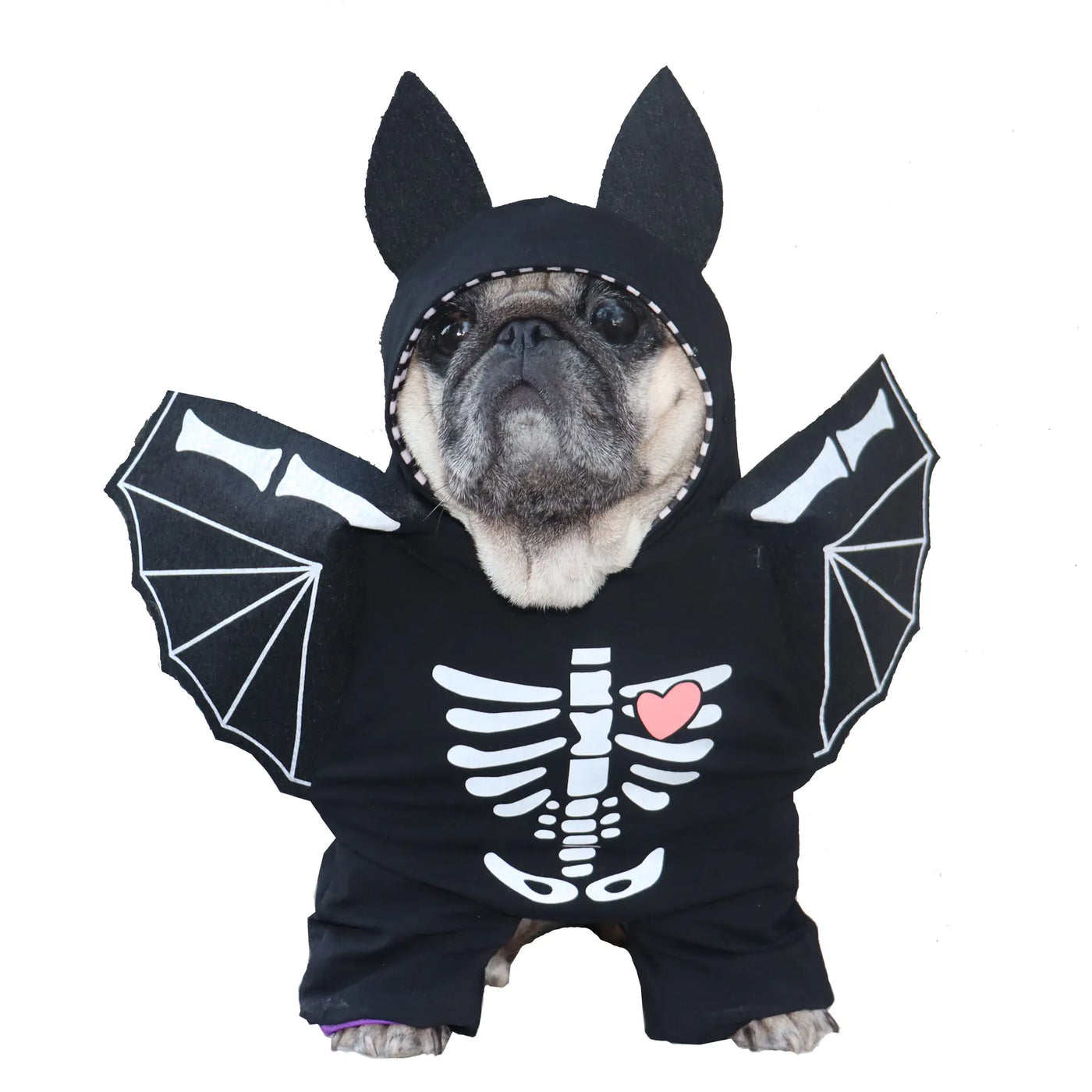Dog wearing funny quirky bat shifter costume with skeleton and wings design