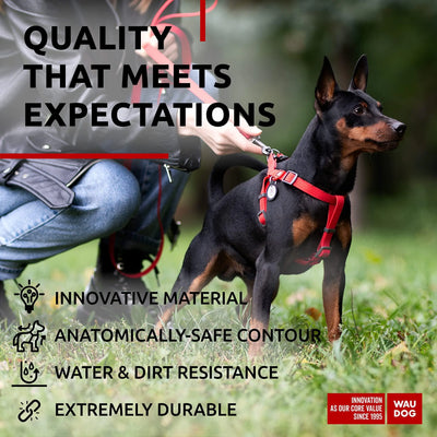 Red waterproof dog harness adjustable for small dogs with durable metal clasp and water-resistant COLLARTEX material