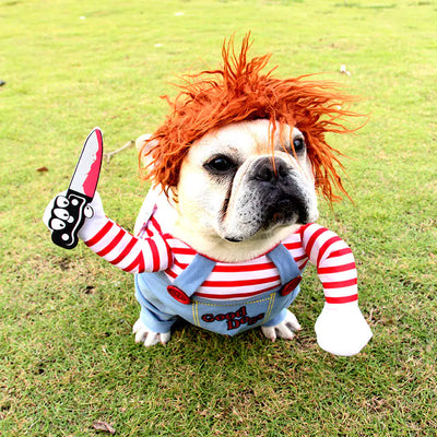 Dog wearing a funny Halloween dagger costume with red wig and striped shirt outdoors