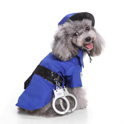 Small gray poodle dog wearing a blue police suit Halloween costume with handcuffs accessory