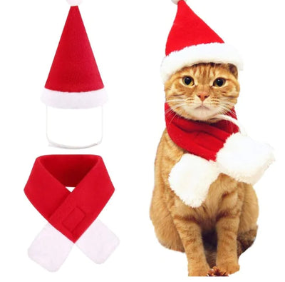Cat wearing red Christmas hat and scarf set holiday outfit for pets