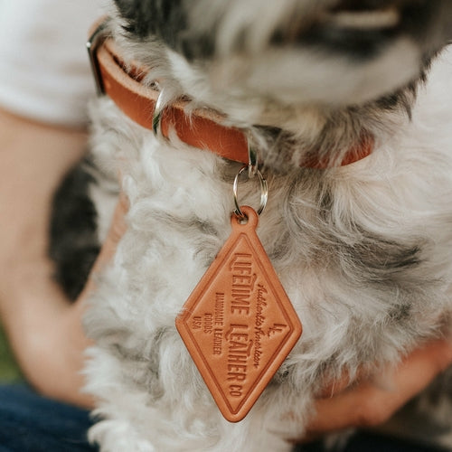 If you're in need of a quality, handmade leather dog collar, then search no more. Our leather dog collars were designed with minimalism and durability in mind. Each Leather Dog Collar - ClassicDog CollarsOlive IolausDean's Pet Outlet Leather Dog Collar - Classic