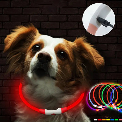 Dog wearing USB rechargeable luminous dog collar glowing red for nighttime safety and inset showing USB charging port