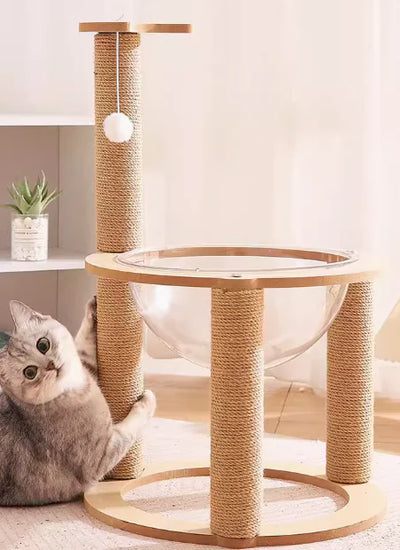 Dual Cat Scratcher with climbing posts and integrated clear space capsule for cats