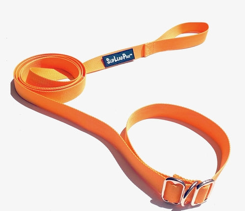 3 IN 1 COLLAR LEASH HARNESS