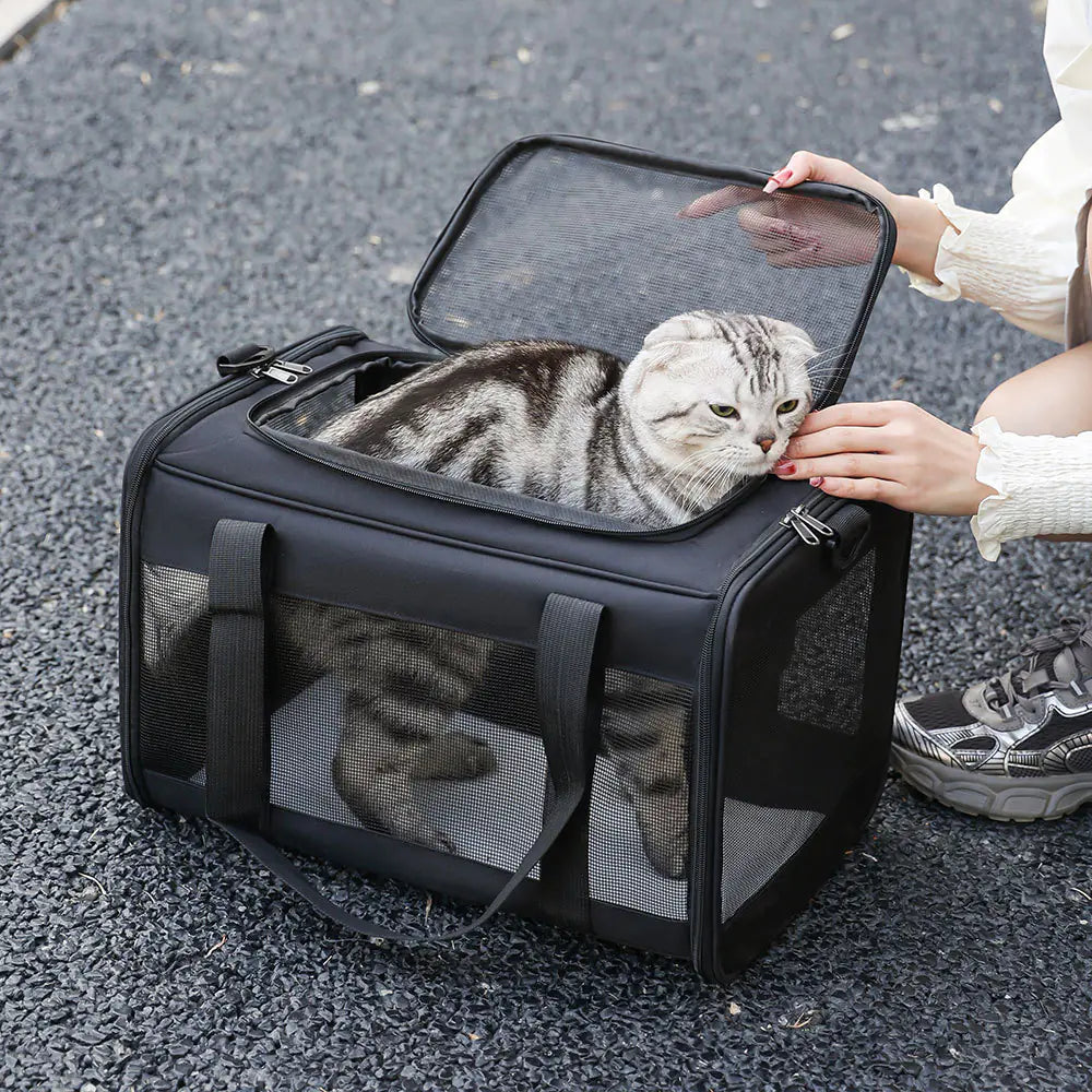 Portable Pet Carrier Bag
