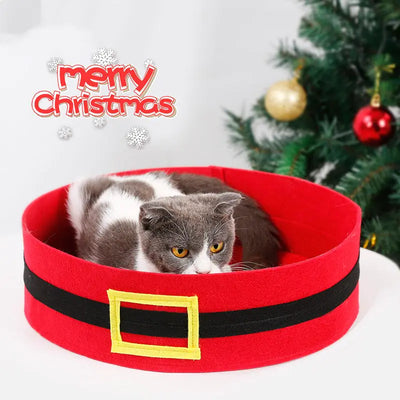 Festive red Santa belt cat bed with gray and white cat, Christmas tree background, cozy holiday pet bed