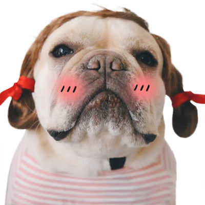 Dog wearing creative pet funny wig headgear with red double braids and blush effect