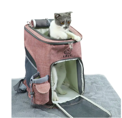 Pet carrier bag for small dogs and cats with open front and a cat inside standing on gray surface