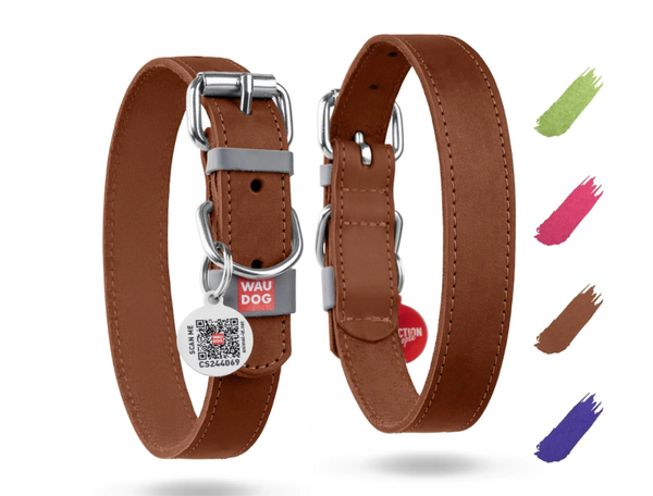 Long Lasting Leather Dog Collar for XSmall Dogs 811 inch Neck x 0.5 inch Wide