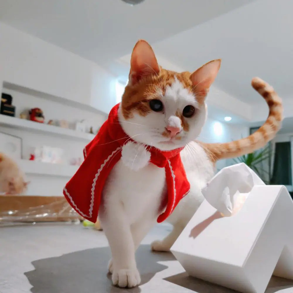 Cat wearing a red Christmas cape for small pets, cozy fleece festive outfit