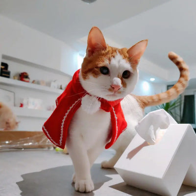 Cat wearing a red Christmas cape for small pets, cozy fleece festive outfit