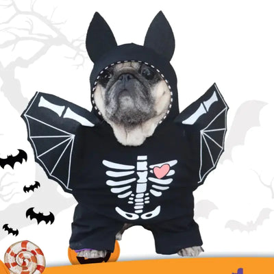 Dog wearing black quirky bat shifter costume with skeleton print and bat wings