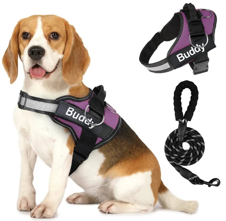 Couple Pet Dog Harness