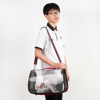 Transparent Pet Carrier Bag for Cats and Dogs