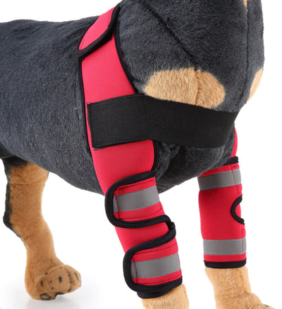 Red dog knee brace and leg protector on dog mannequin for injury recovery and support