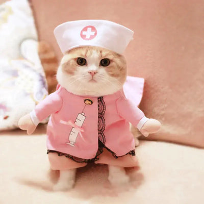 Cat dressed in pink nurse pet costume with hat and syringe design sitting on beige background