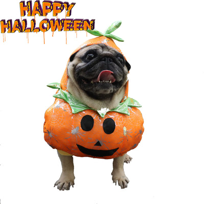 Dog wearing a funny pumpkin Halloween costume for dogs and cats with Happy Halloween text