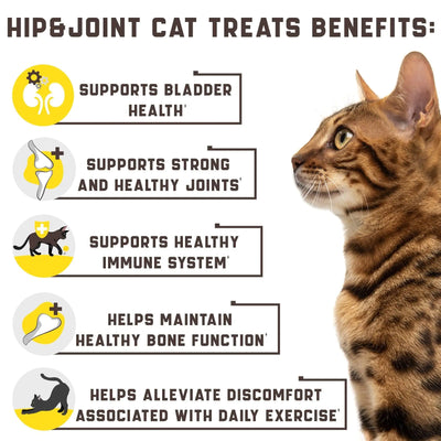 Natural Glucosamine for Cats   Effective Cat Joint Supplement That Helps Improve