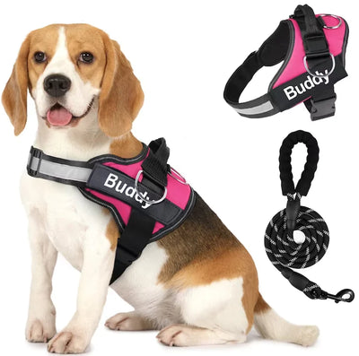 Couple Pet Dog Harness