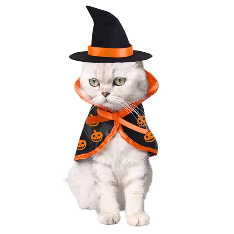 Cross-Border Amazon Halloween Pet Cloak for Cats & Dogs