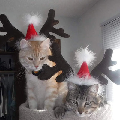 Two cats wearing Christmas dog reindeer headbands with red Santa hats and brown antlers indoors