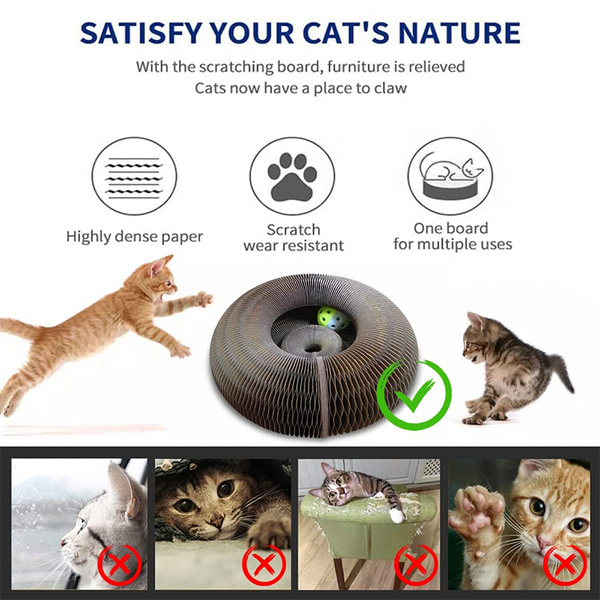 Features:
Enjoy more funny way to share scratching happy time
Connect two cat scratching boards together to increase the area of the cat scratching board, cats have Paper Magic Organ Cat Scratching Board Cat ToyPetsLilac MiloDean's Pet Outlet Paper Magic Organ Cat Scratching Board Cat Toy