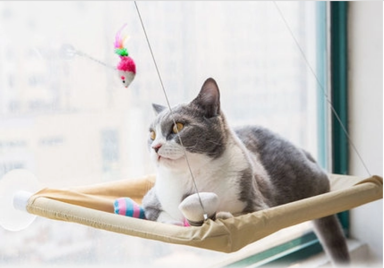 Cat Window Bed