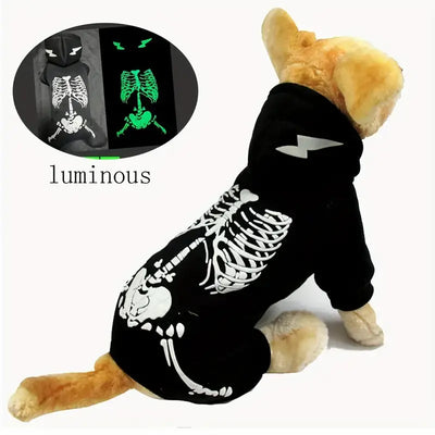 Glow-in-the-Dark Skeleton Costume for Small Dogs