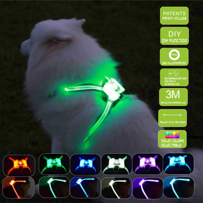 LED rechargeable silicone luminous dog collar glowing in green on white dog at night with multiple color options and safety features displayed