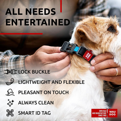 Black waterproof dog collar with adjustable strap and plastic buckle for small dogs