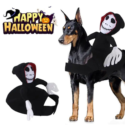 Funny pet Halloween costume with spider pumpkin vest on dog
