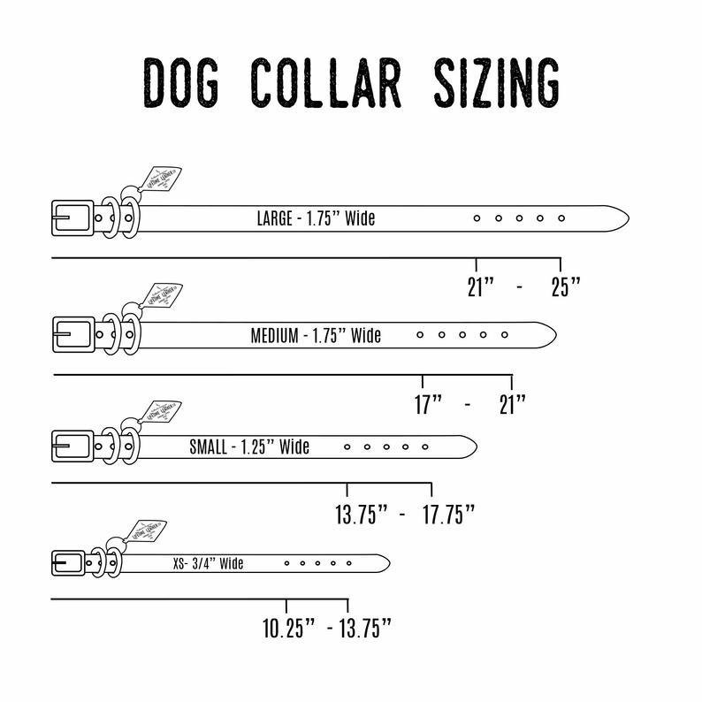 Handcrafted genuine leather dog collars with heavy-duty stainless steel hardware - a quality and comfortable collar every dog deserves. Backed by our Lifetime GuaranClassic Leather Dog CollarsCollarsOlive IolausDean's Pet Outlet Classic Leather Dog Collars