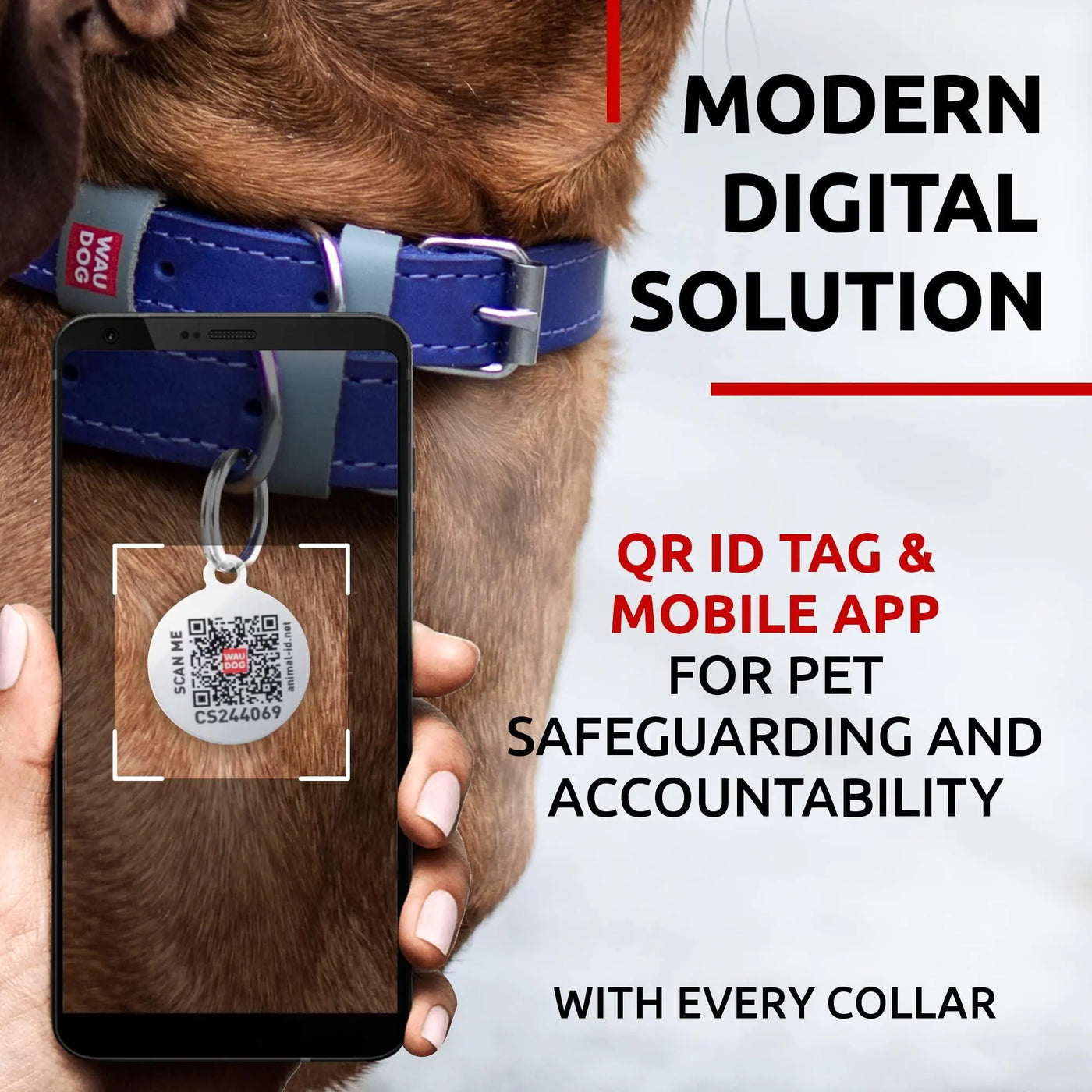 Purple Leather Dog Collar for XSmall Dogs