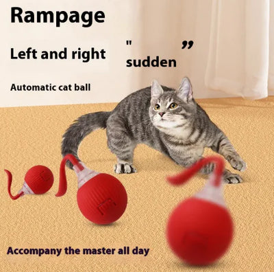 Interactive cat toy ball with rolling motion and bird sounds entertaining a gray striped cat on carpet